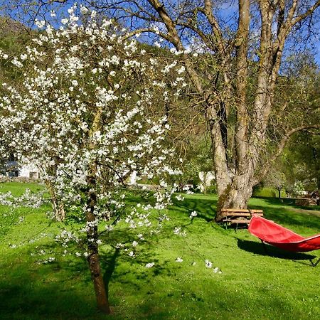 Spiele- Und Buchhotel Tschitscher Nikolsdorf Eksteriør bilde
